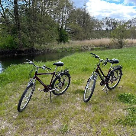 Ostrzycka Goscina U Maryli *